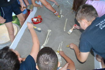 20180000 Nyari napkozi 2018 Nyari taborok a Jozsef Attila Muzeumban26