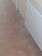 20190620 Onkenteskedj! 4-501