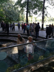 20190910 Idosek Klubjanak kirandulasa Pecs07